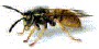 Country Pest Control 371654 Image 0